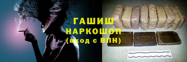 гидра Новозыбков