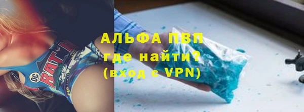 гидра Новозыбков