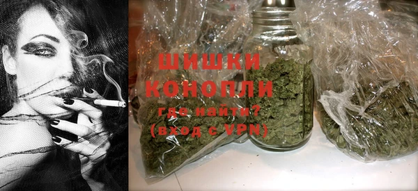 гидра Новозыбков