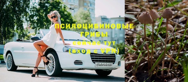 мяу мяу мука Бикин