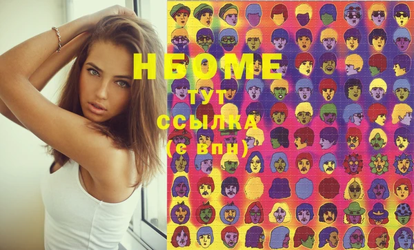 винт Няндома