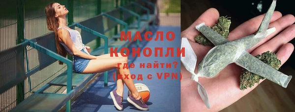 гидра Новозыбков